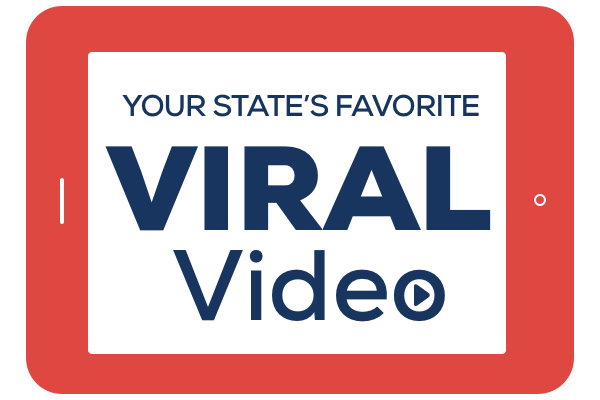 favorite viral videos by state preview